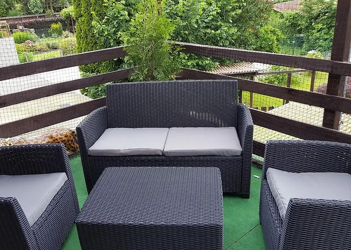 Mueller 홈스테이 *